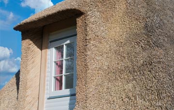 Onneley thatch roof disadvantages